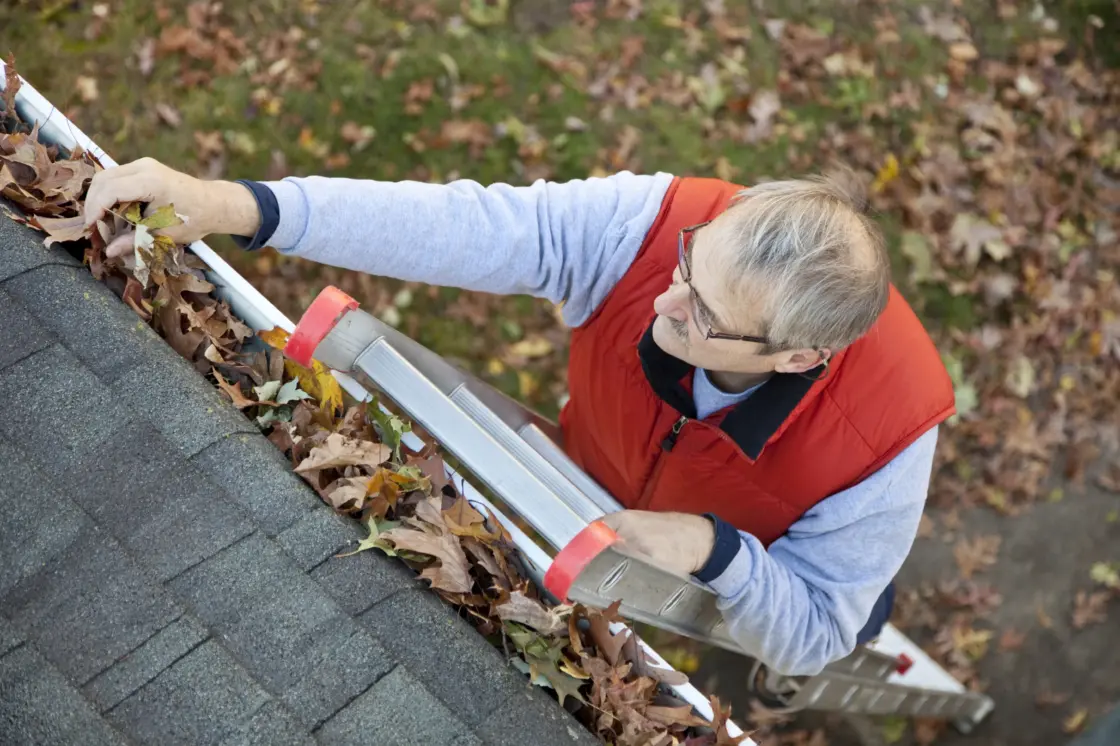 clean out your gutters