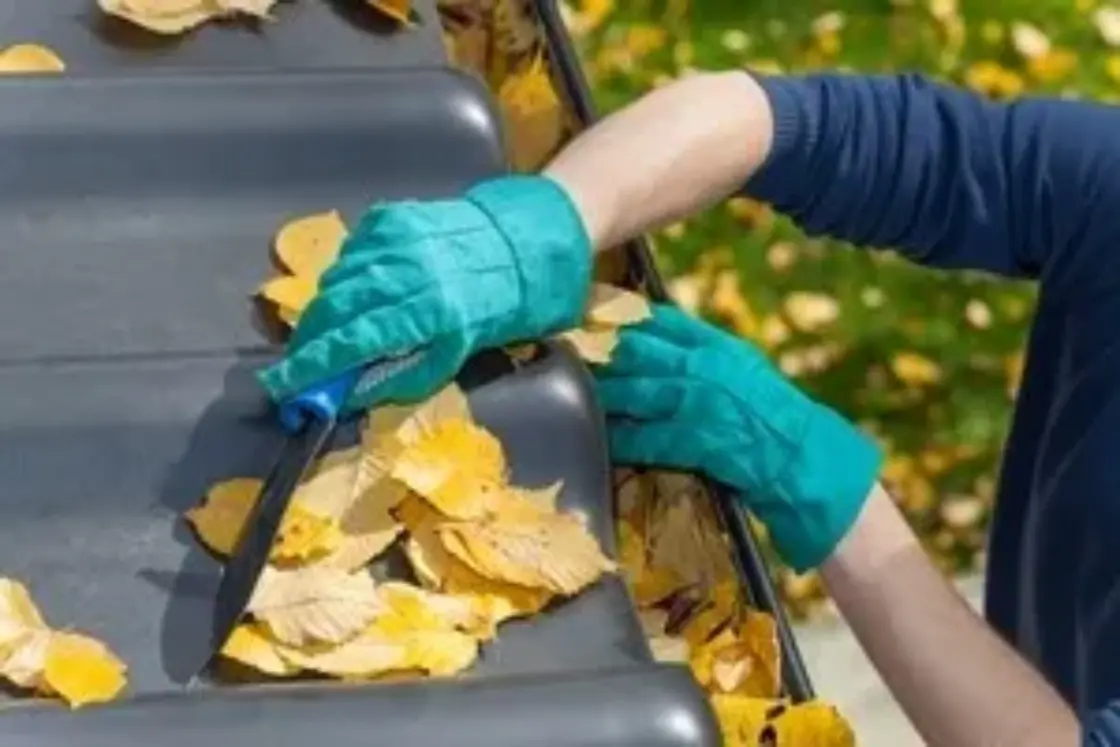 guard your gutters