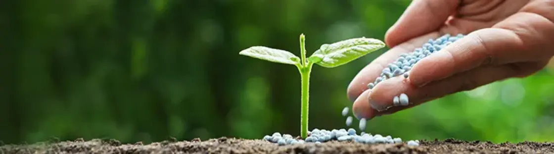 Plants for Earth Day