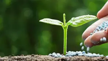 Plants for Earth Day