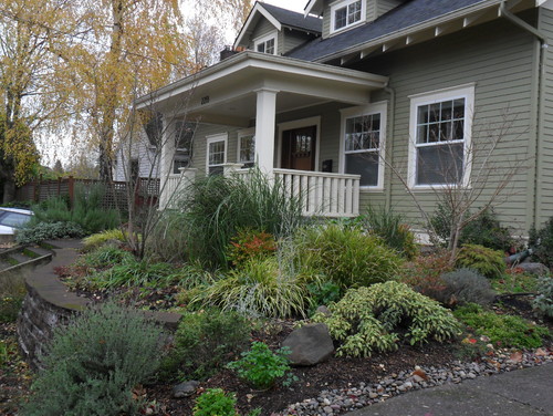 Rain Gardens