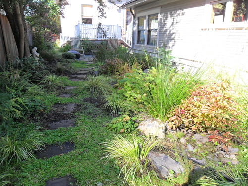 Rain Gardens