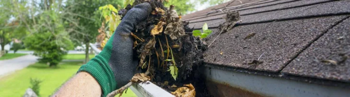 Gutter Cleaning Near