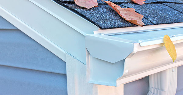 best gutter guards for pine needles