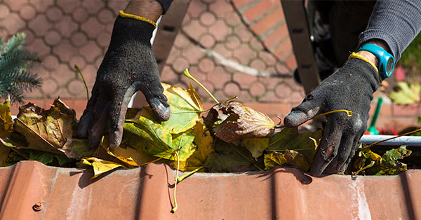 home insurance and gutter cleaning