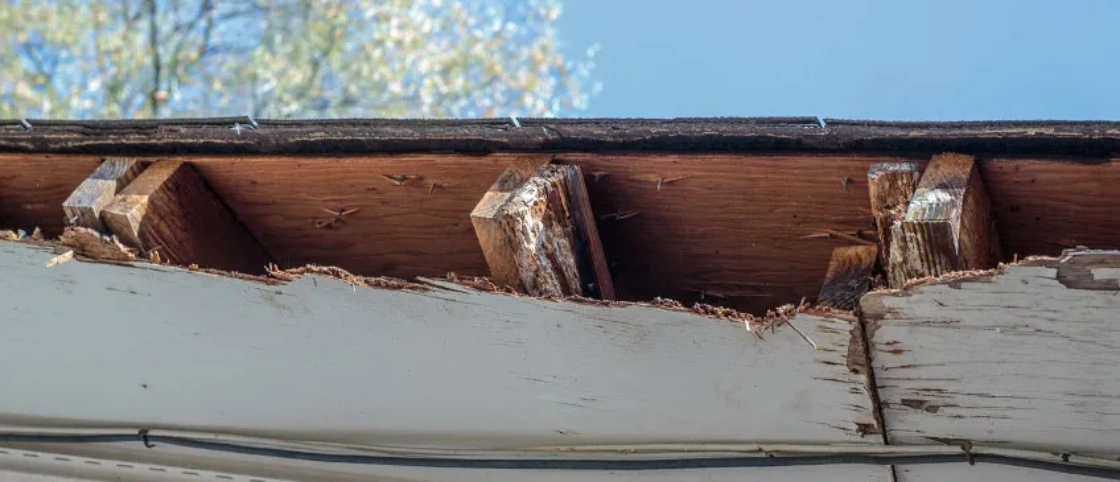 soffit repair needed