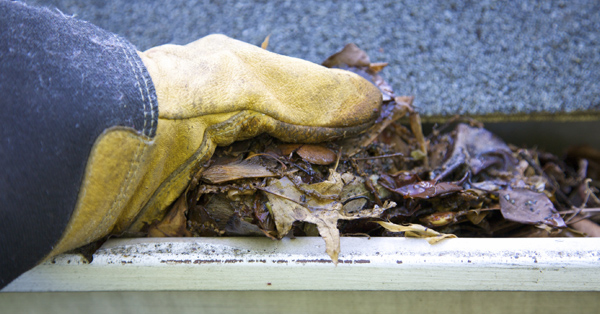 How to Prepare your Gutters for Winter