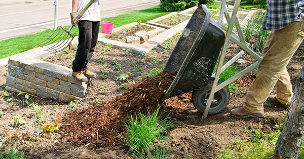 how to prevent landscape erosion