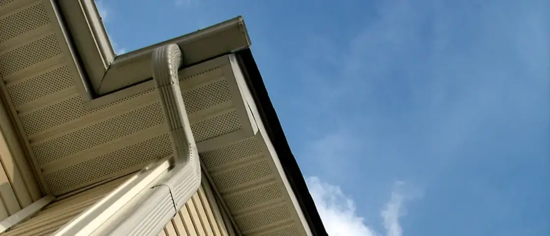 should all homes have gutters and downspouts