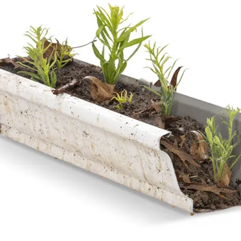 Gutter with plants, leaves and dirt