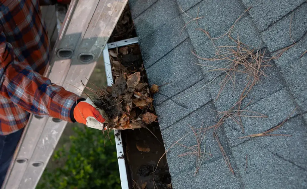 Homeowner on a ladder cleaning gutter debris out of gutters using an orange glove