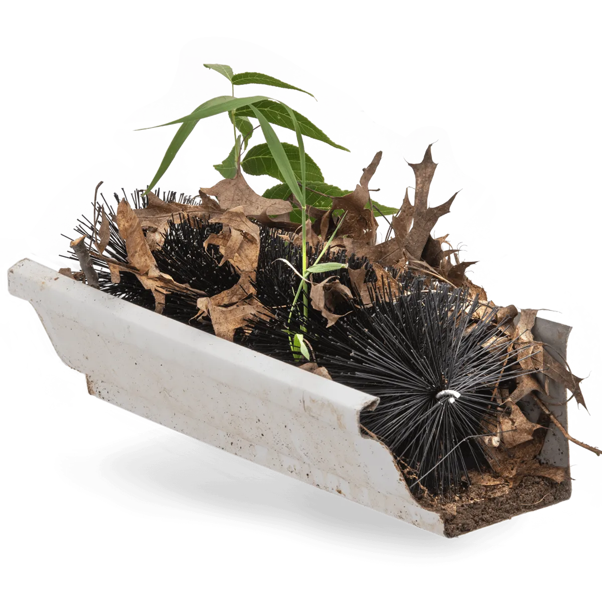 Brush gutter guards covered in leaves and debris