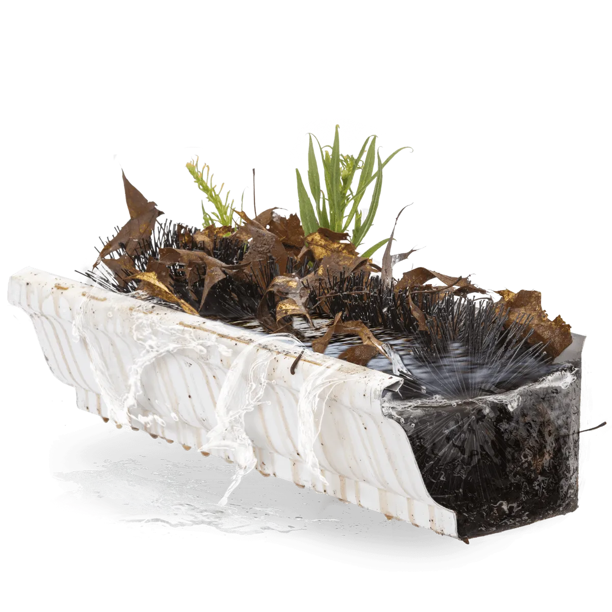 Brush gutter guards clogged with leaves and debris