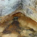 Mold and mildew in the corner of a concrete basement