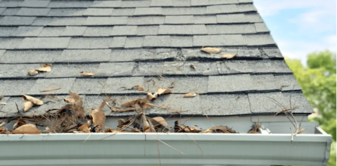 clogged gutters