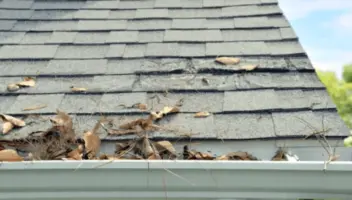 clogged gutters