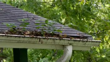 Common Gutter Problems