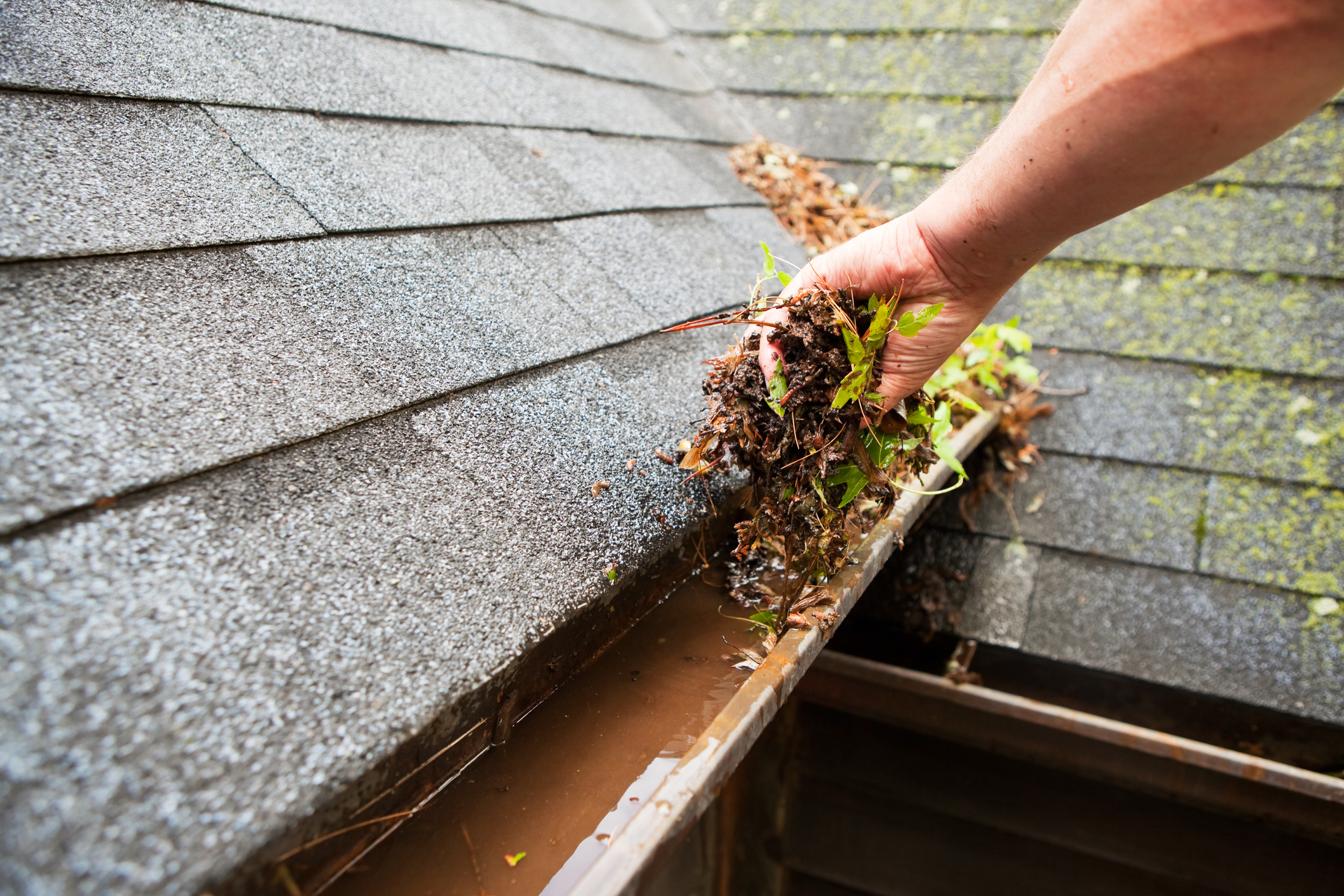 Clogged gutters and home water damage