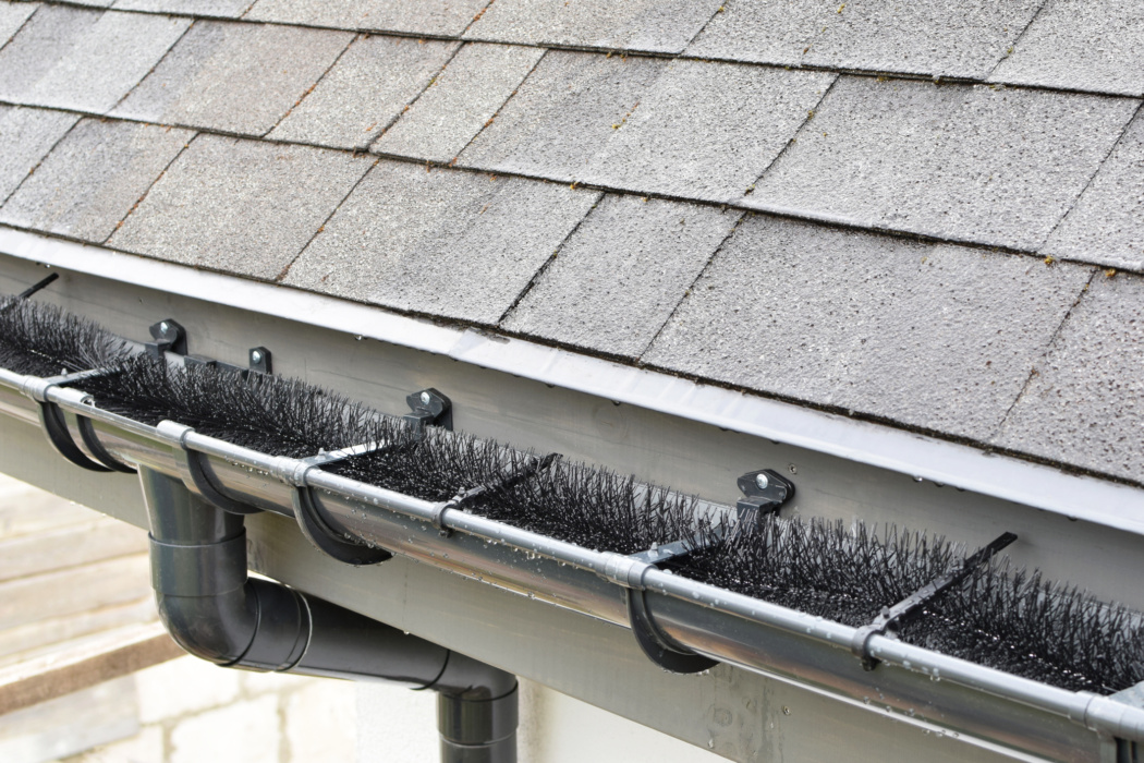 Close up asphalt shingles roof with plastic guard brush in gutter