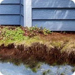 Landscape Erosion