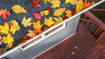 Leaves on a roof