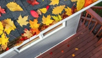 Leaves on a roof