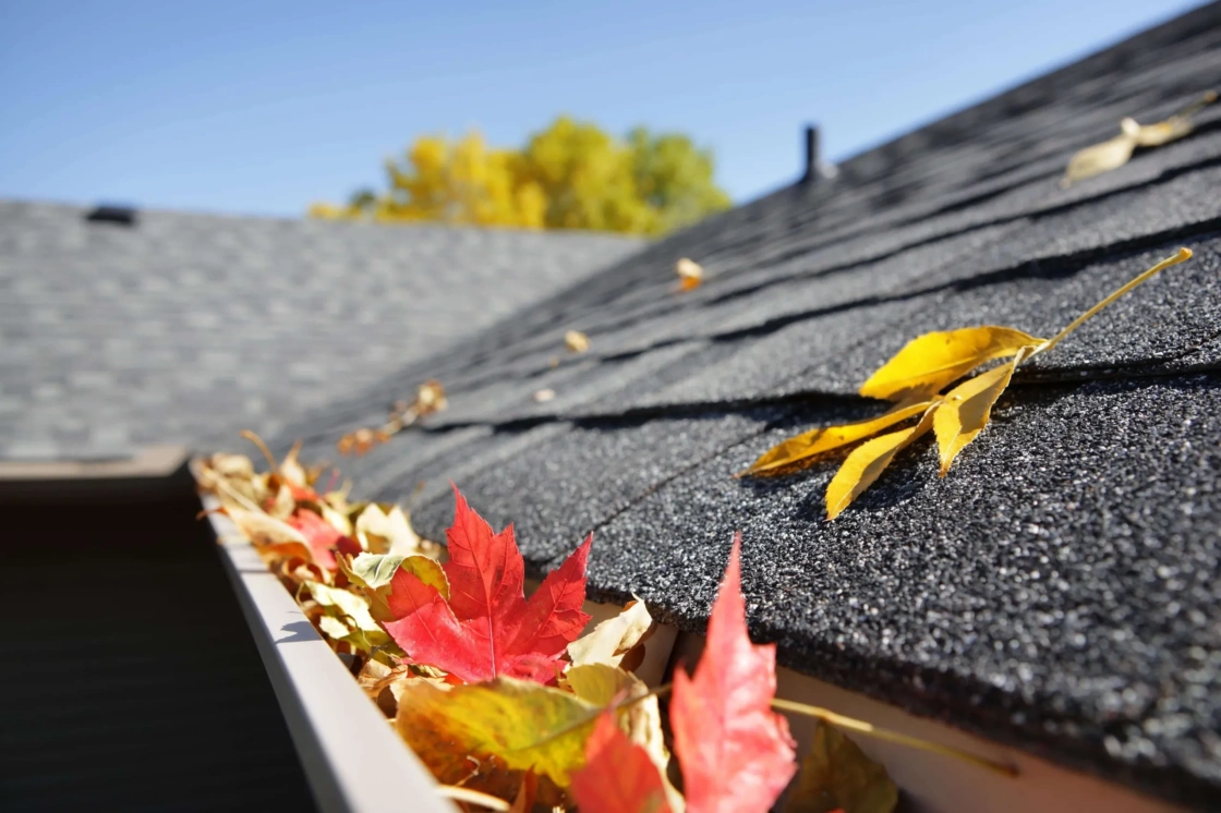 Fall gutter protection