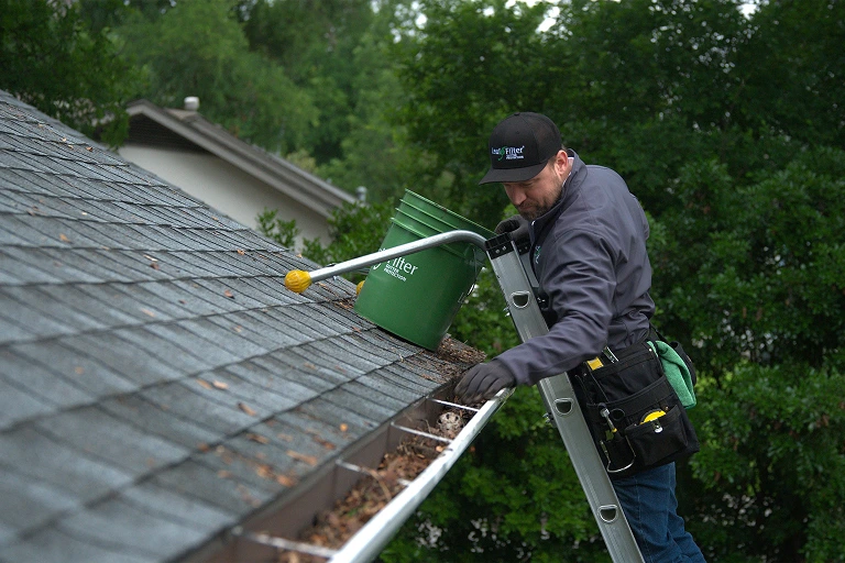 Professional Gutter Cleaning