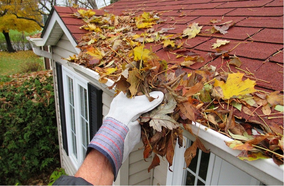 gloved hand with handful of leaves during peak season to clean out gutters