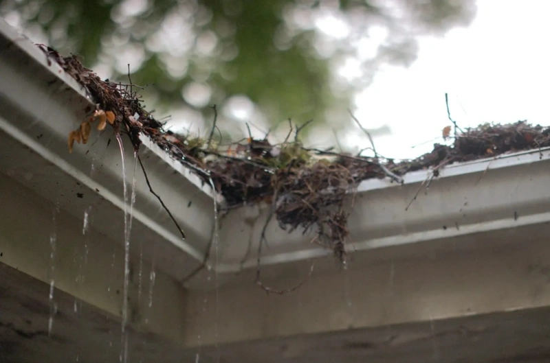 gutter-systems-text-image-flush-dirty-gutters