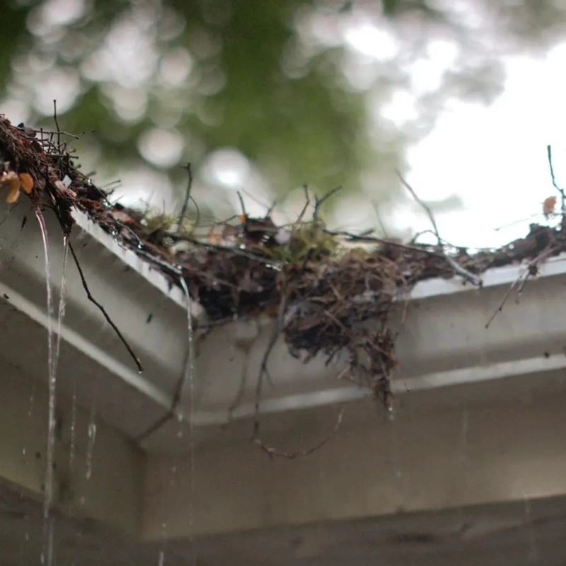 gutter-systems-text-image-flush-dirty-gutters