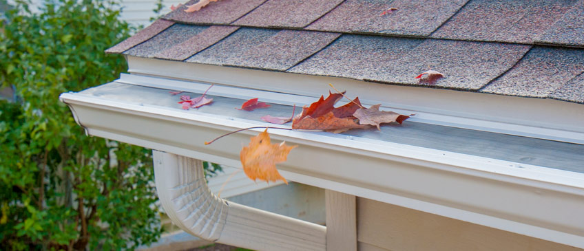 LeafFilter sheds oak leaves off of clean, white gutters under an asphalt roof.