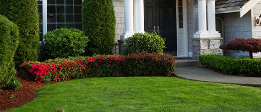 Upkeep your home with these landscaping projects