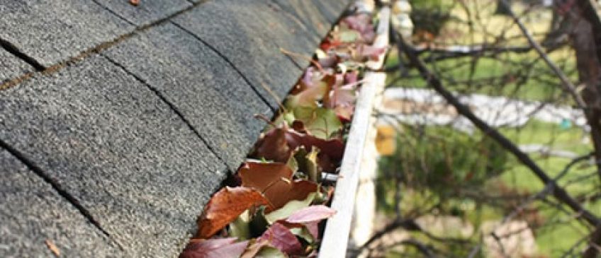 how to keep gutters from clogging