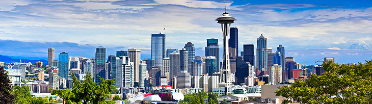 leaffilter gutter guards in seattle