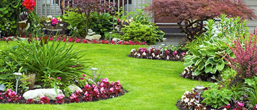 Landscaping do's and don'ts