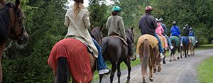 Southbury, CT horseback riders on public trail