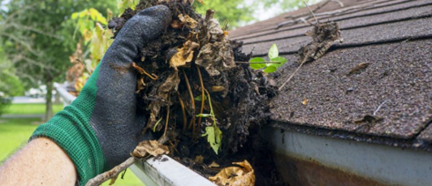 Gutter Cleaning in Lone Tree CO