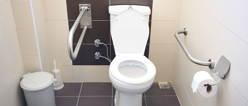Grab bars next to toilet for aging in place