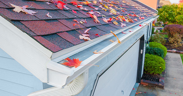 gutter guards: do they work
