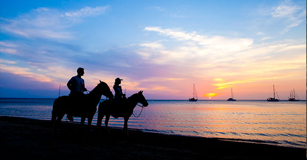 Take part in horseback riding on the beaches of Amelia Island