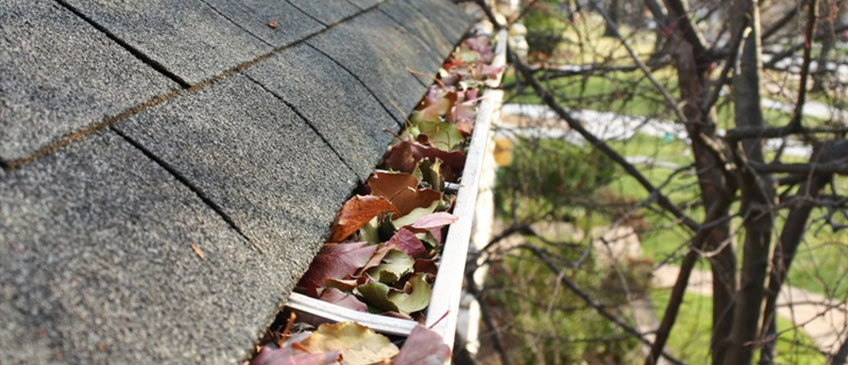 Do I need gutter guards?