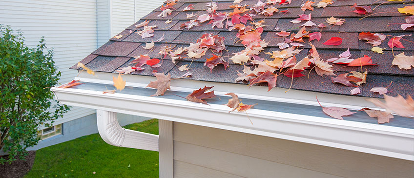 Non clogging gutters protected from fall leaves with LeafFilter