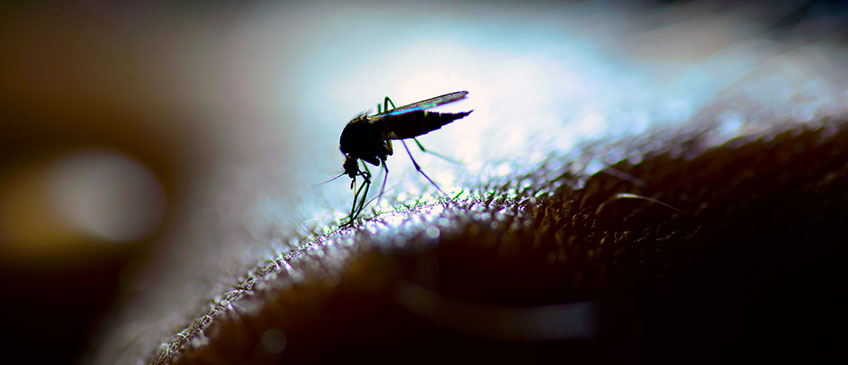 homeowners and west nile virus