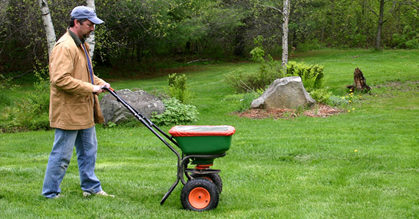 how to revive a brown lawn 