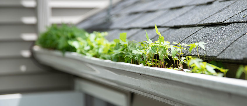 Gutter Guard Installation in Bargersville IN