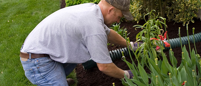 why invest in professional landscaping
