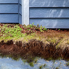 Dirt and grass alongside a house showing erosion