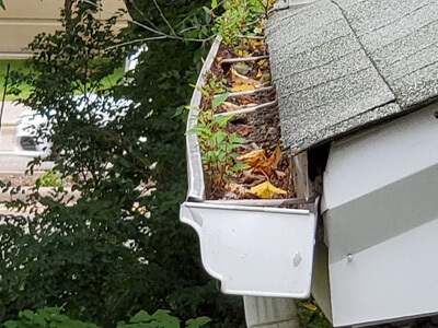 White clogged gutters under a gray shingle roof