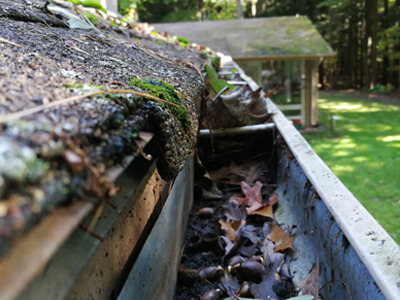 Clogged gutters full of leaves, mold and debris